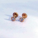 PENDIENTES CHATON CIRCONITA DE  2MM.ROSCA.