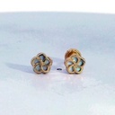 PENDIENTES FLOR NACAR 5 PETALOS.6MM.TORNILLO