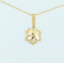 COLGANTE GARRA 6MM CON REASA