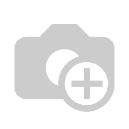 B4234 0.28_1.webp