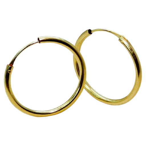 [6494] 25x2MM ROUND TUBE HOOP EARRINGS