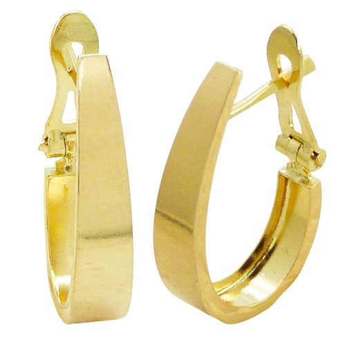 [4077] PENDIENTES MEDIO ARO 20x4MM.CIERRE CATALAN.